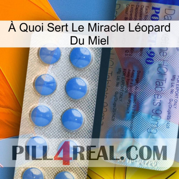 À Quoi Sert Le Miracle Léopard Du Miel 40.jpg